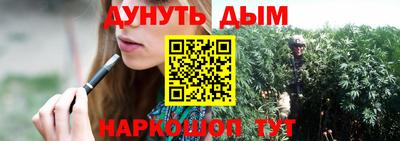 стаф Лесосибирск